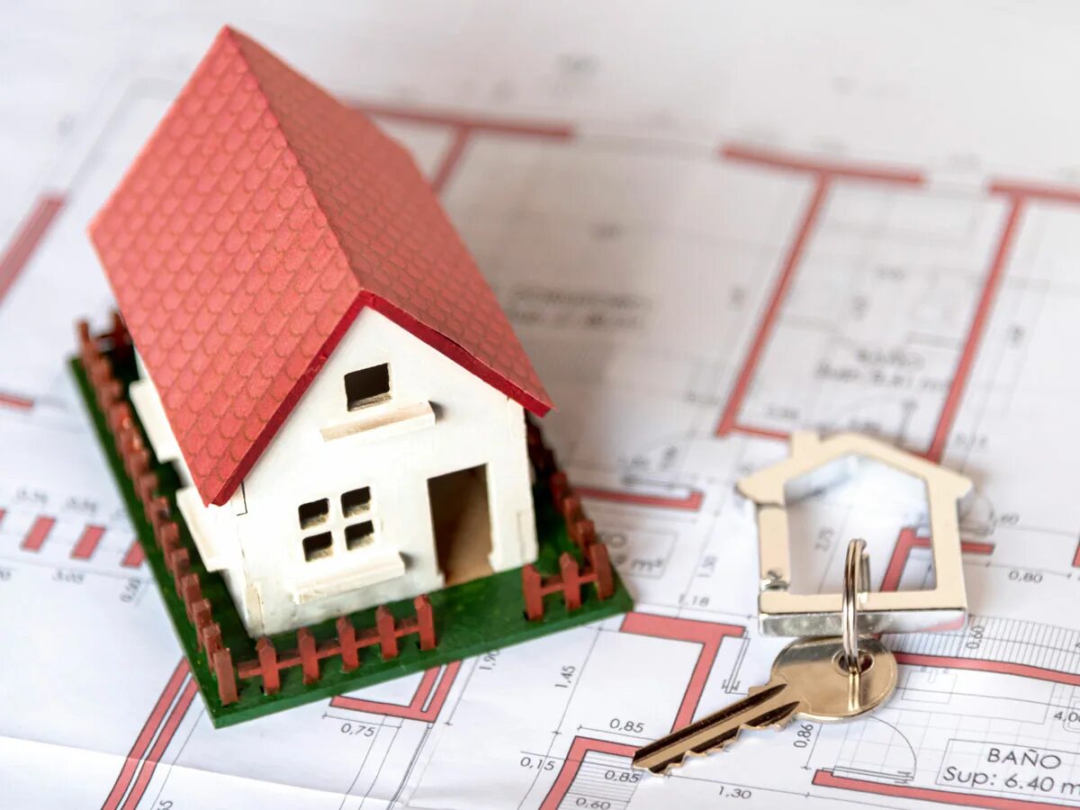 Кадастровый учет земельного участка. Правообладатель объекта недвижимого имущества. Правообладатель объекта недвижимого имущества. Кадастровый инженер. Объекты недвижимого имущества картинки.