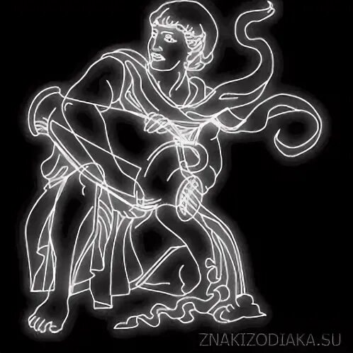 Черный водолей