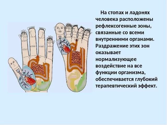 Сосудистые рефлексогенные зоны. Основные рефлексогенные зоны. Рефлексогенных зон сосудистой системы это.