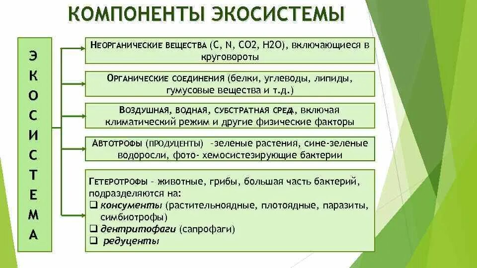 Многообразие оснований. Состав компонентов экосистемы. Таблица основных компонентов экосистемы. Составляющие компоненты экосистемы. Компоненты экосистемы это в экологии.