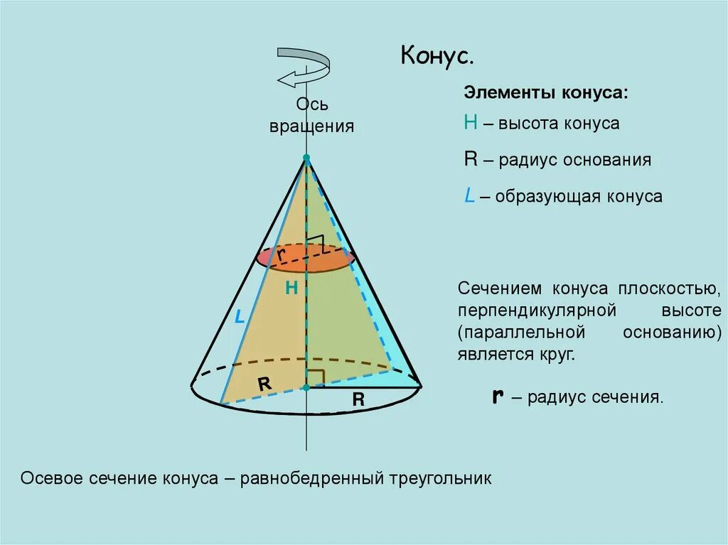 Высота конуса является образующей. Конус: радиус, образующая, высота. образующая конуса конуса. осевое сечение конуса. радиус сечения конуса.