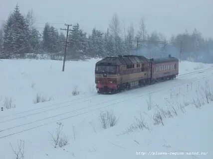 Великий новгород луга