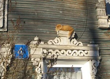 Воскресенье вологда
