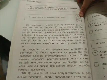 Стояла золотая осень брянские рощи впр ответы