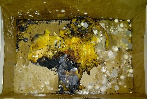 This Guy’s Managed To Turn A Cardboard Box Into The Most Disgusting Thing You'll