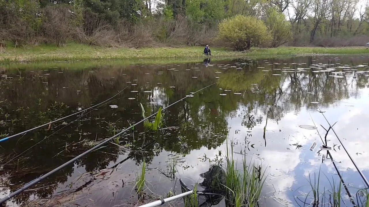 Озеро тюмень рыбалка. Озеро большой Нарык Тюмень рыбалка. Озеро Кривое Тюмень рыбалка. Озеро Кривое Ростовская область. Озеро Кайварное.