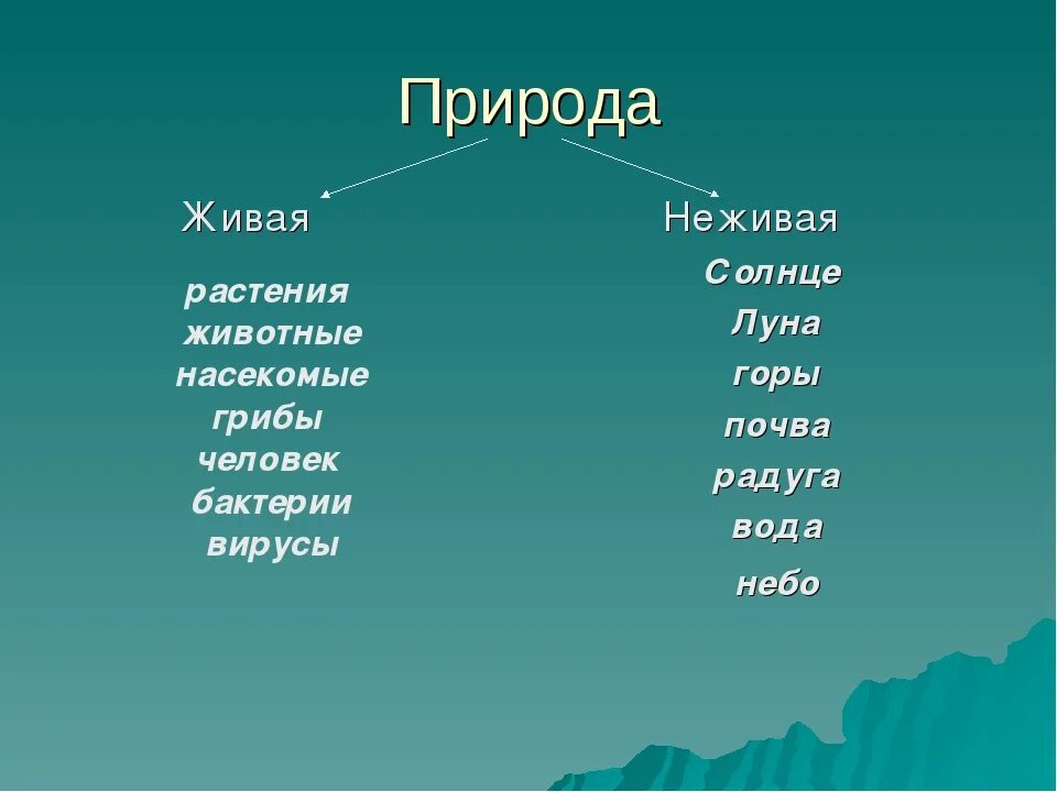 Относится ли человек к живой природе. Живая или неживая природа. Луна Живая или неживая природа. Что относится к живой природе. Объекты живой природы растения.