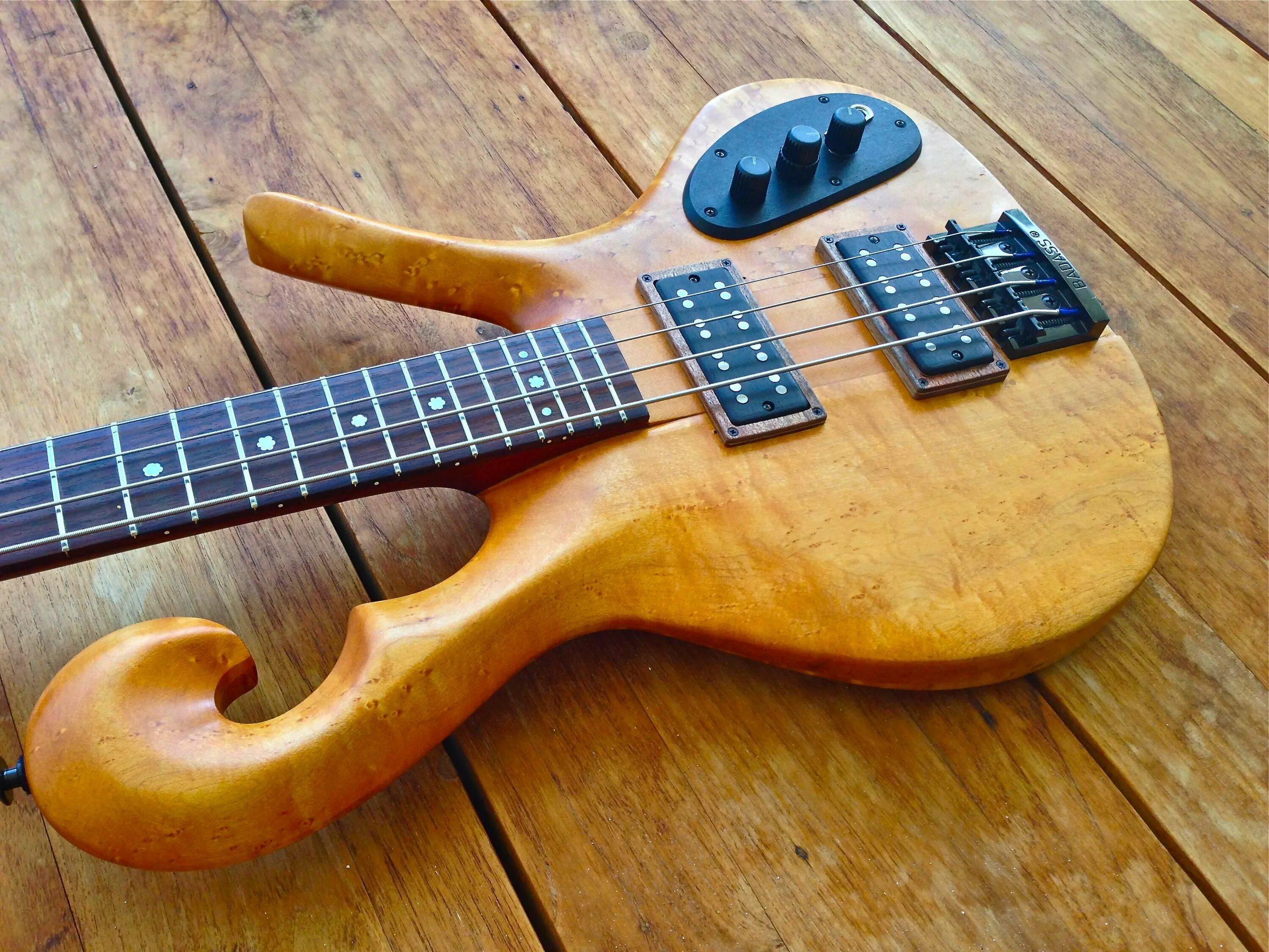 Томпсон гитара. Carl thompson. карлом томпсон басс. carl thompson (luthier). бас гитара роден.