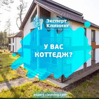 Cleaning expert