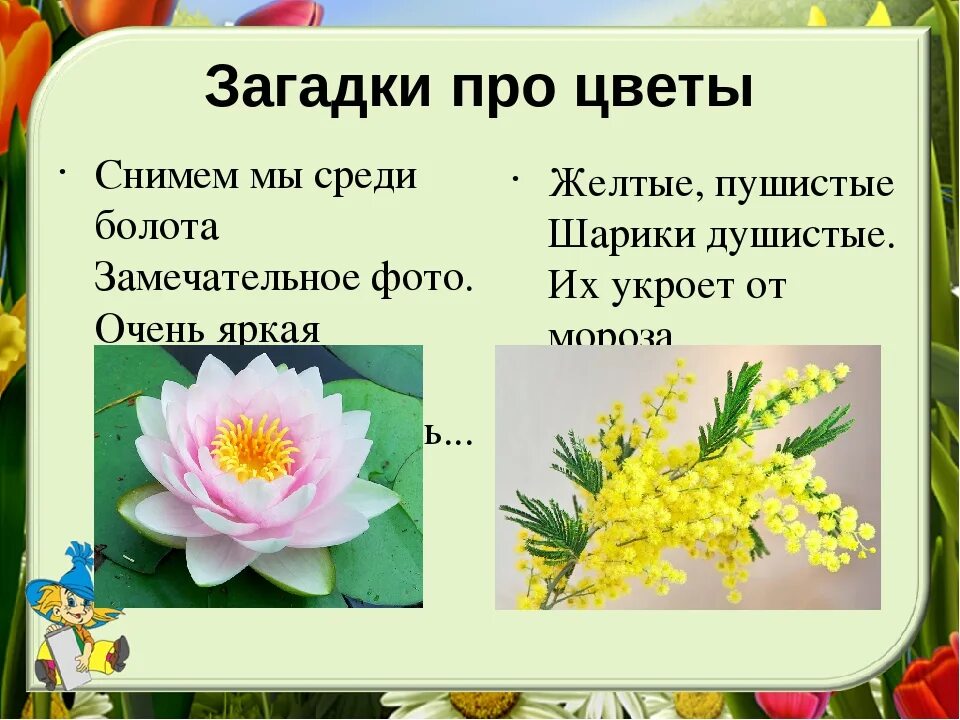 Загадки про цветы для дошкольников. Загадки про цветы. Загадки о цветах для детей. Интересные загадки про цветы. Загадки про цветы для детей.