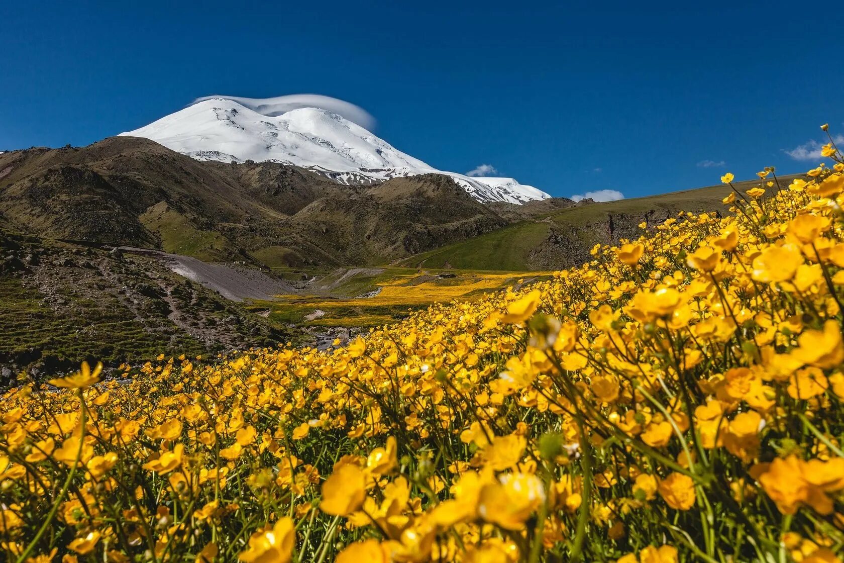 Поляна эммануэля в приэльбрусье. Поляна эммануэля цветы. Поляна эммануэля. Гора сирх джилы-су. Поляна эммануэля эльбрус.
