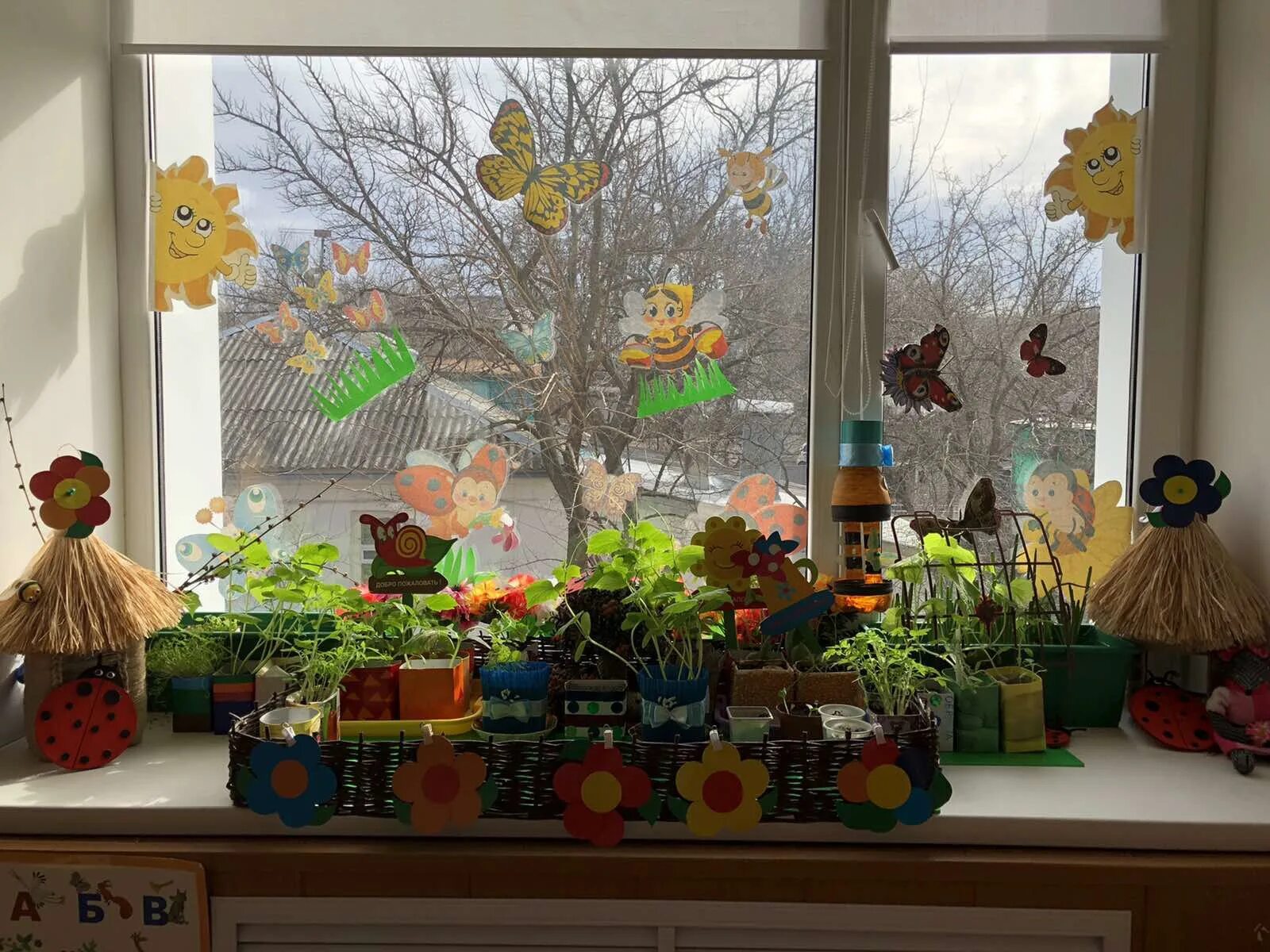 Тема сад огород в подготовительной группе. Огород на окне в детском саду. Конкурс огород на окне в детском саду. Огород на окошке в детском саду. Огород на окне подготовительная группа.
