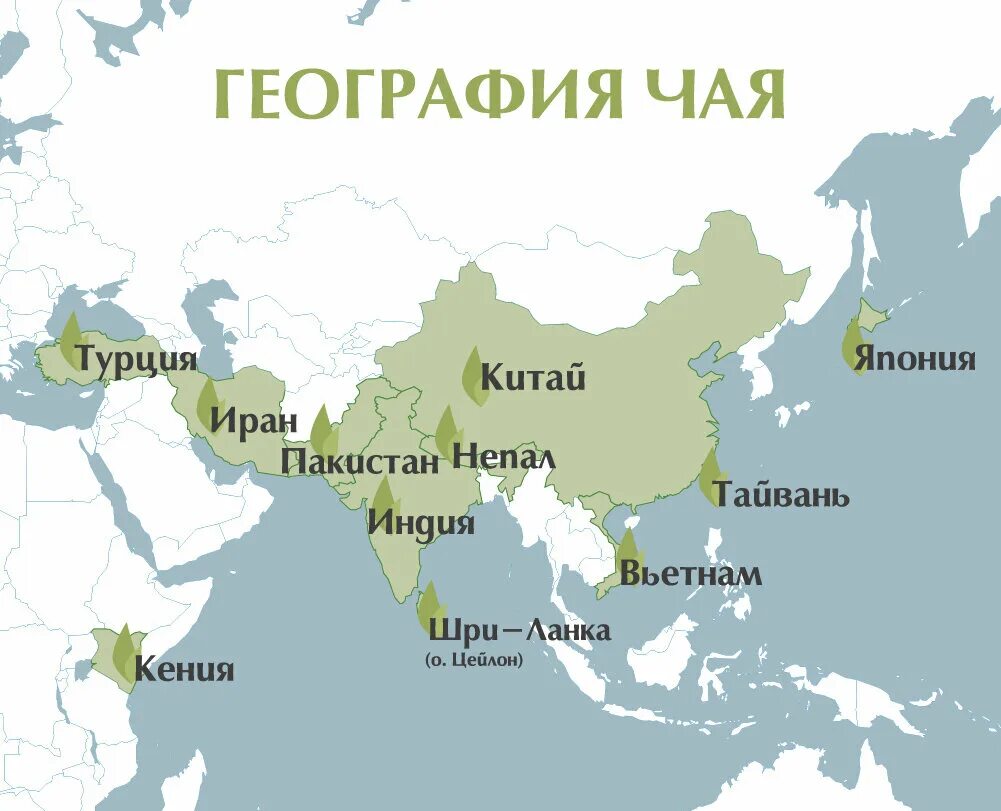 B c asia. Страны производители чая. География производства чая. География выращивания чая. Страны выращивающие чай.