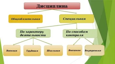 Какие дисциплины в школе