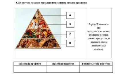 Пищевая пирамида 5 класс технология