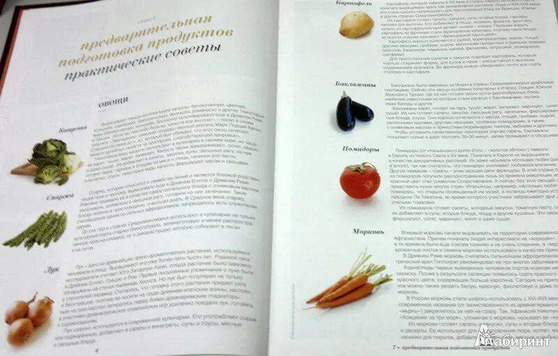 поваренная книга анархиста. The anarchist cookbook [издание 1971 года]. поваренная книга анархиста. поваренная книга анархиста обложка. уильям пауэлл поваренная книга.