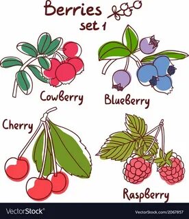 Blueberry перевод с английского на русский