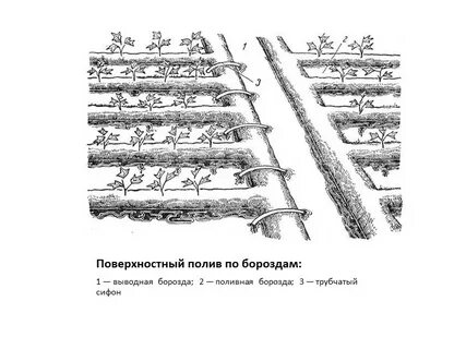 Поверхностный полив