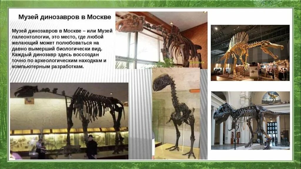 Сообщение об уникальных экспонатах