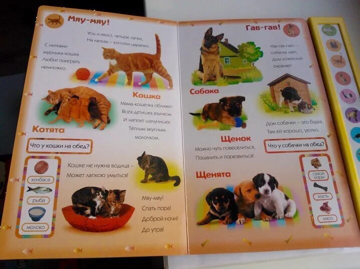 Домашние друзья. 2787. Домашние животные азбукварик. Музыкальная книга домашние друзья. Книга домашние друзья.