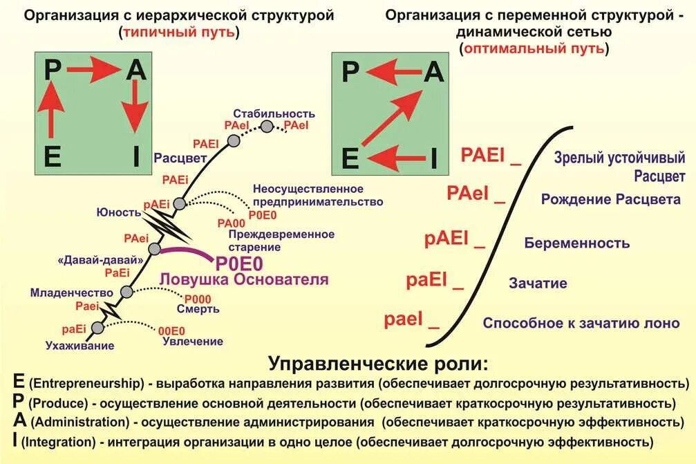 Ицхак Адизес paei. Методология Ицхака Адизеса. Стили менеджмента по Адизесу. Типы менеджмента по Адизесу. Расшифровка теста paei