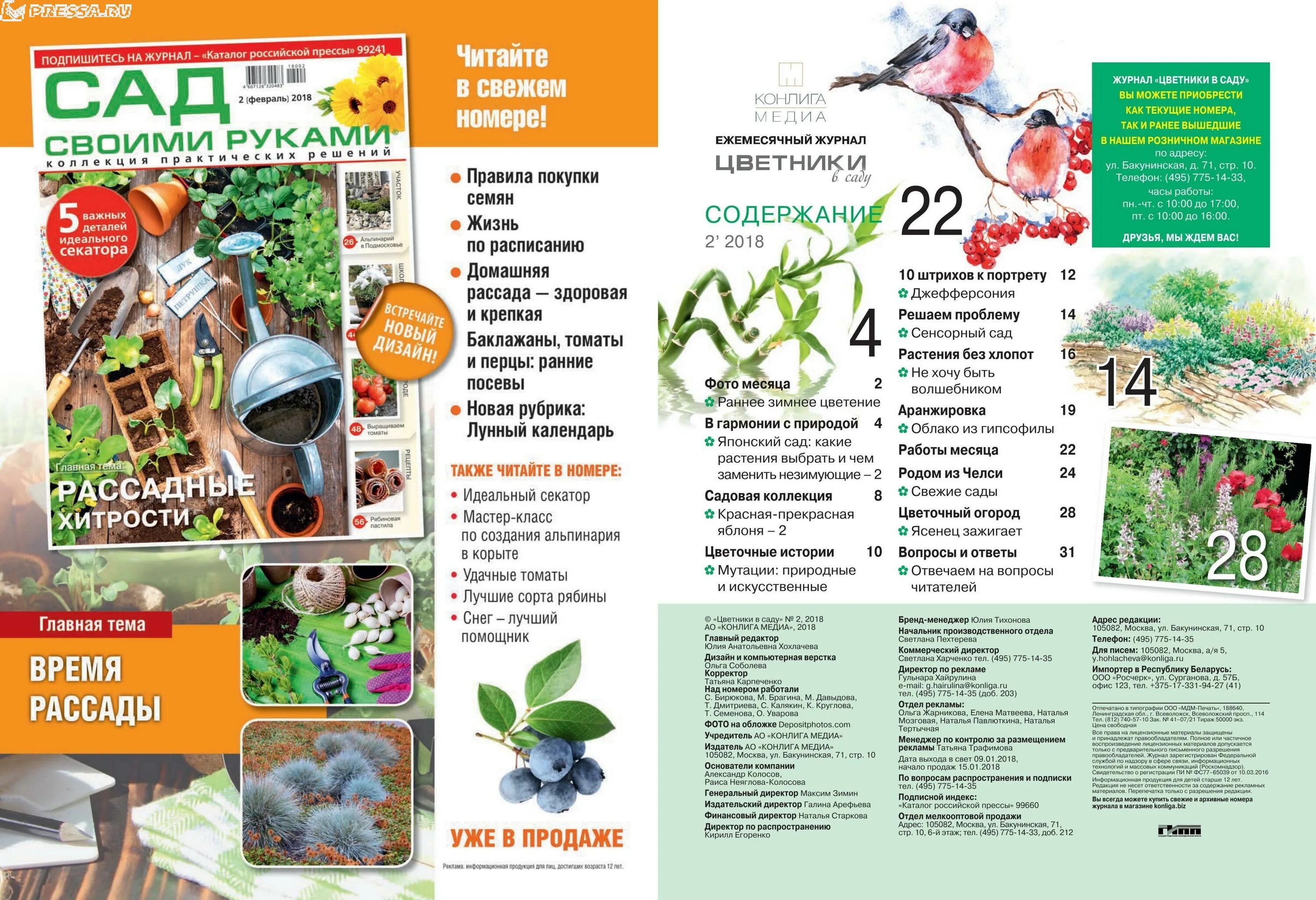 Дачная коллекция интернет. Дачная коллекция интернет. Энциклопедия дачной жизни. Дачная коллекция интернет. Дачная коллекция самара.