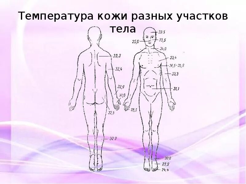 Температура тела на разных участках. Температура разных участков тела. Температура кожи разных участков тела. Температура кожи на различных участках тела человека.