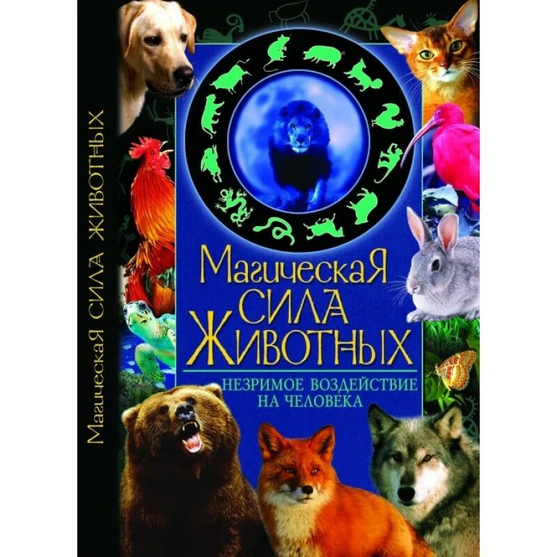 Сила животных. Джоди бергсма волки. Черный тигр кишан. Сила животных. Лев.
