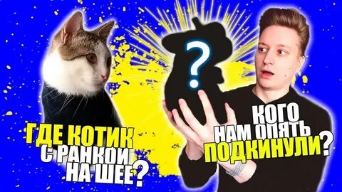 Канал сани шоу канал саня шоу
