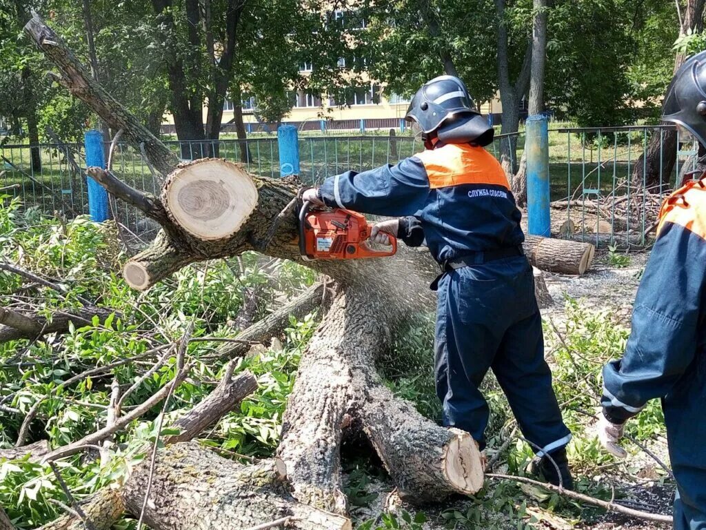 Пилить упавшие деревья