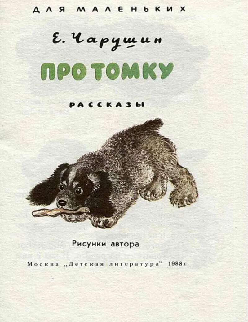 Чарушин рассказы про Томку. Чарушин про Томку книга. Рассказы про томку