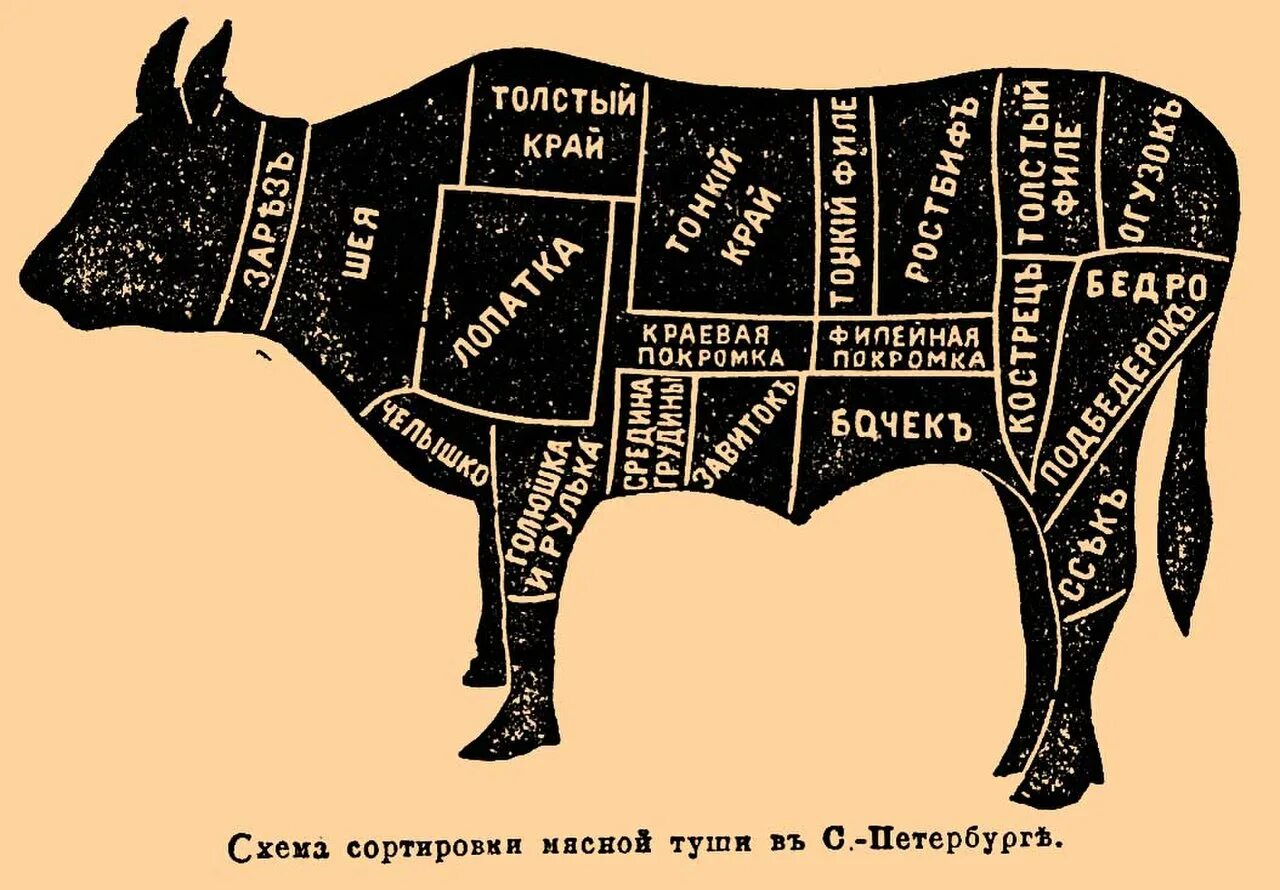 Части туши коровы схема. Разделка туши говядины схема. Схема обвалки говяжьей туши. Схема разруба туши говядины. Рибай на схеме разделки говяжьей туши.