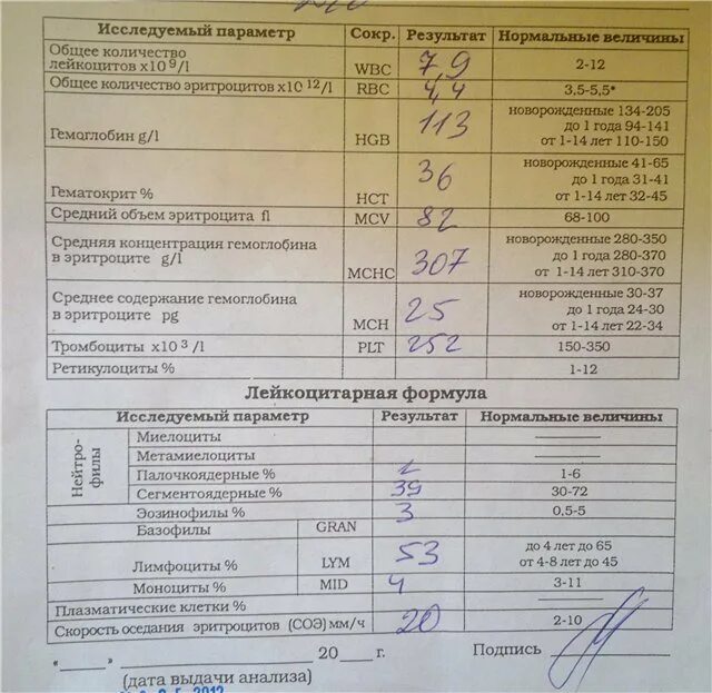 Какие анализы сдать при аллергии у ребенка. Общий анализ крови на аллергию. анализ крови при аллергии показатели. общий анализ крови аллергия показатель. показатель аллергена в крови.