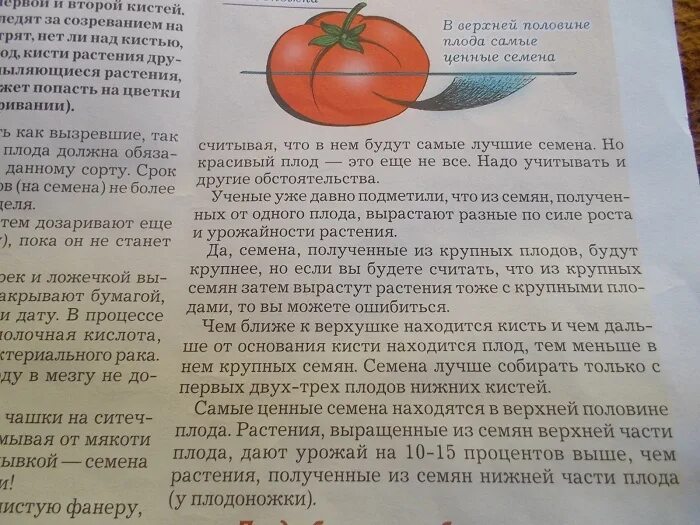 Помидоры с какого возраста давать ребенку