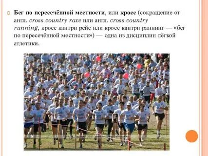 Кроссовый бег виды