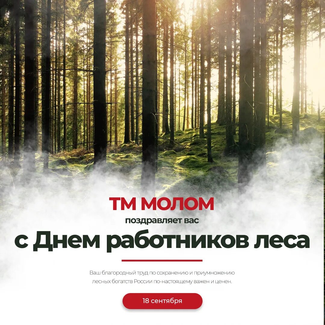 15 сентября день работников леса. День леса. с днем работника леса. день работников леса вологда. поздравление работников леса.