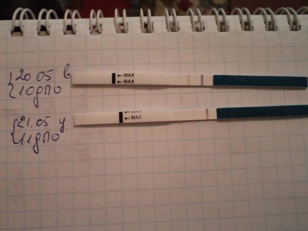 10-11 дпо тест на беременность. Возможна ли беременность на 11 день цикла. 11 дпо тест положительный. Тест на беременность после 11 дпо. Овуляция на 11 день форум.