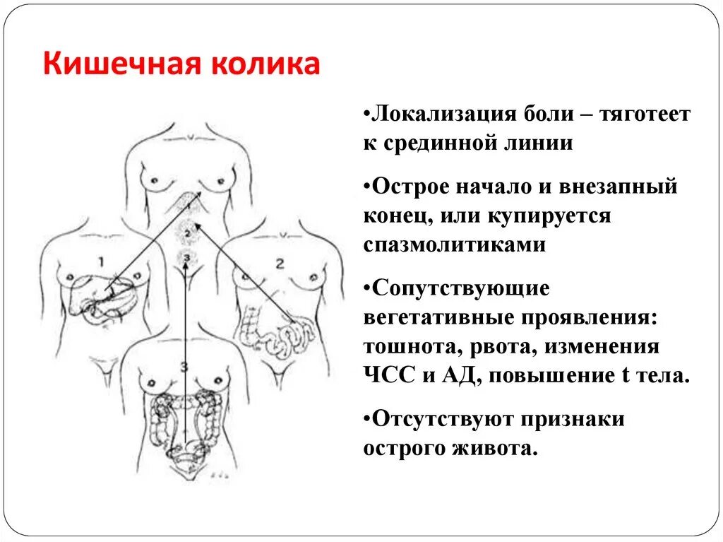 Кишечная колика. Кишечная колика у взрослых. Причины кишечной колики у взрослых. Локализация боли желудка