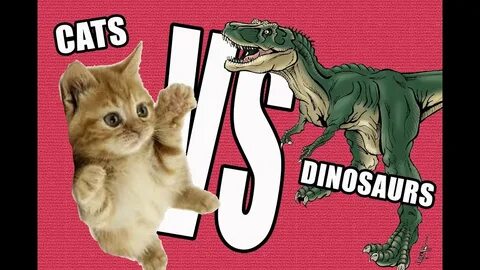 Alex and dino my cats