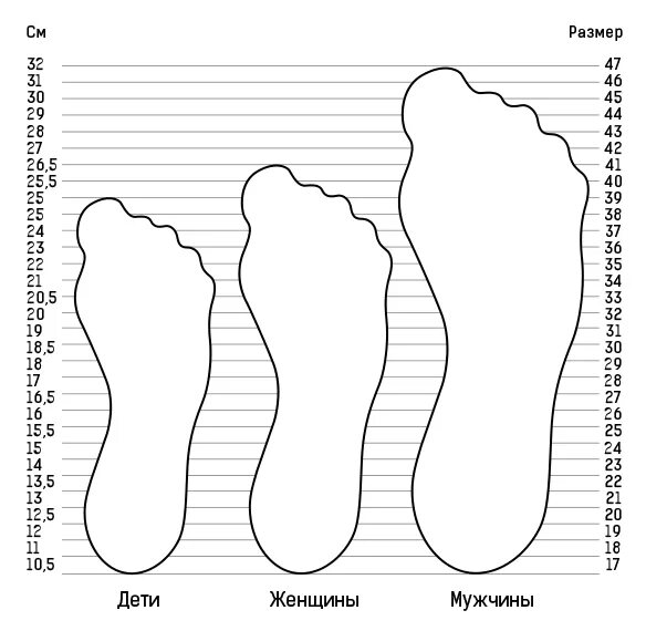 Подошва 37 размер. Размер ноги. Размер стопы. Сравнение размеров ноги. Макет для размеров ноги.