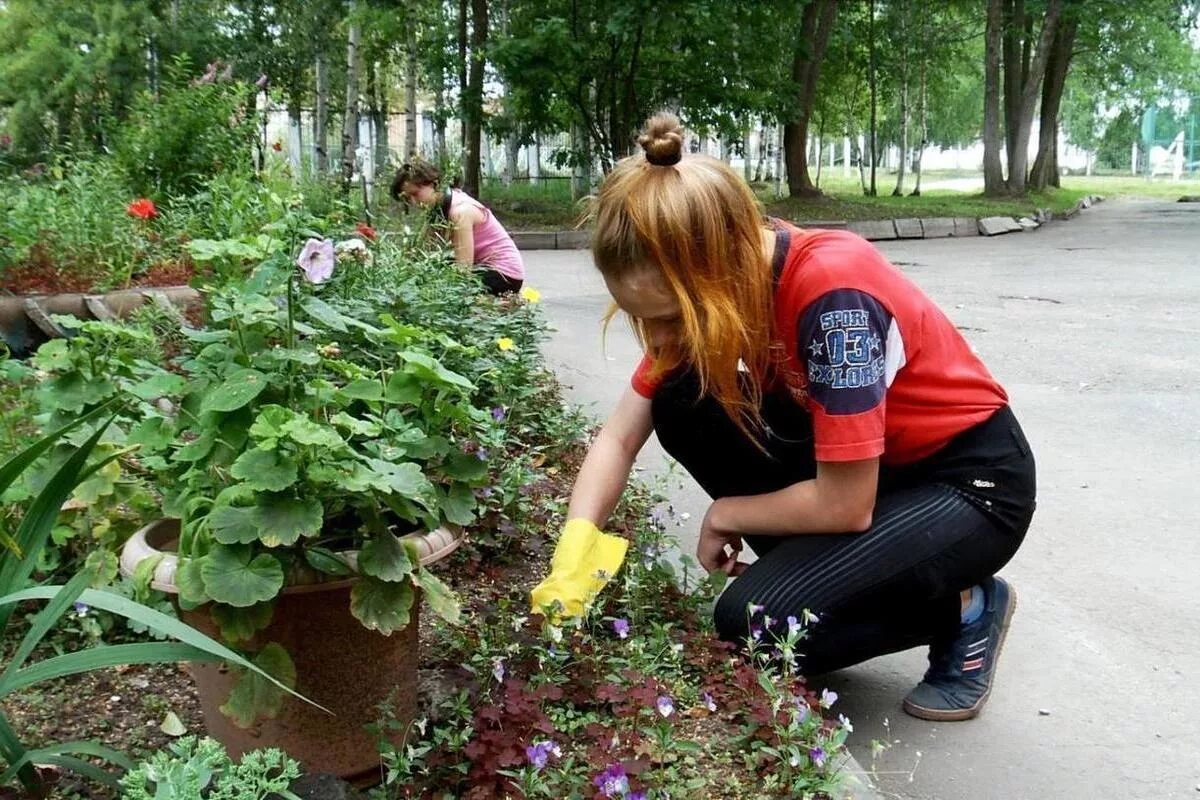 Работа на лето 12. Работа летом для школьников. Труд подростков. Трудоустройство несовершеннолетних. Летняя работа для подростков.