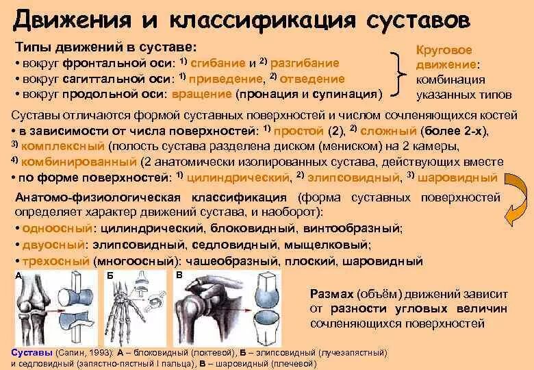 Сустав 1а. Классификация суставов таблица. Анатомическая классификация суставов. Суставы классификация суставов. Суставы по типам движения.