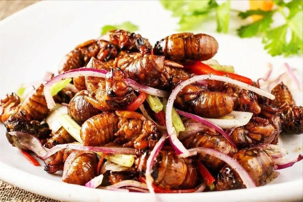 Рецепты насекомых. Блюда китайской кухни. блюда из насекомых. деликатесы китайской кухни. экзотические китайские блюда.