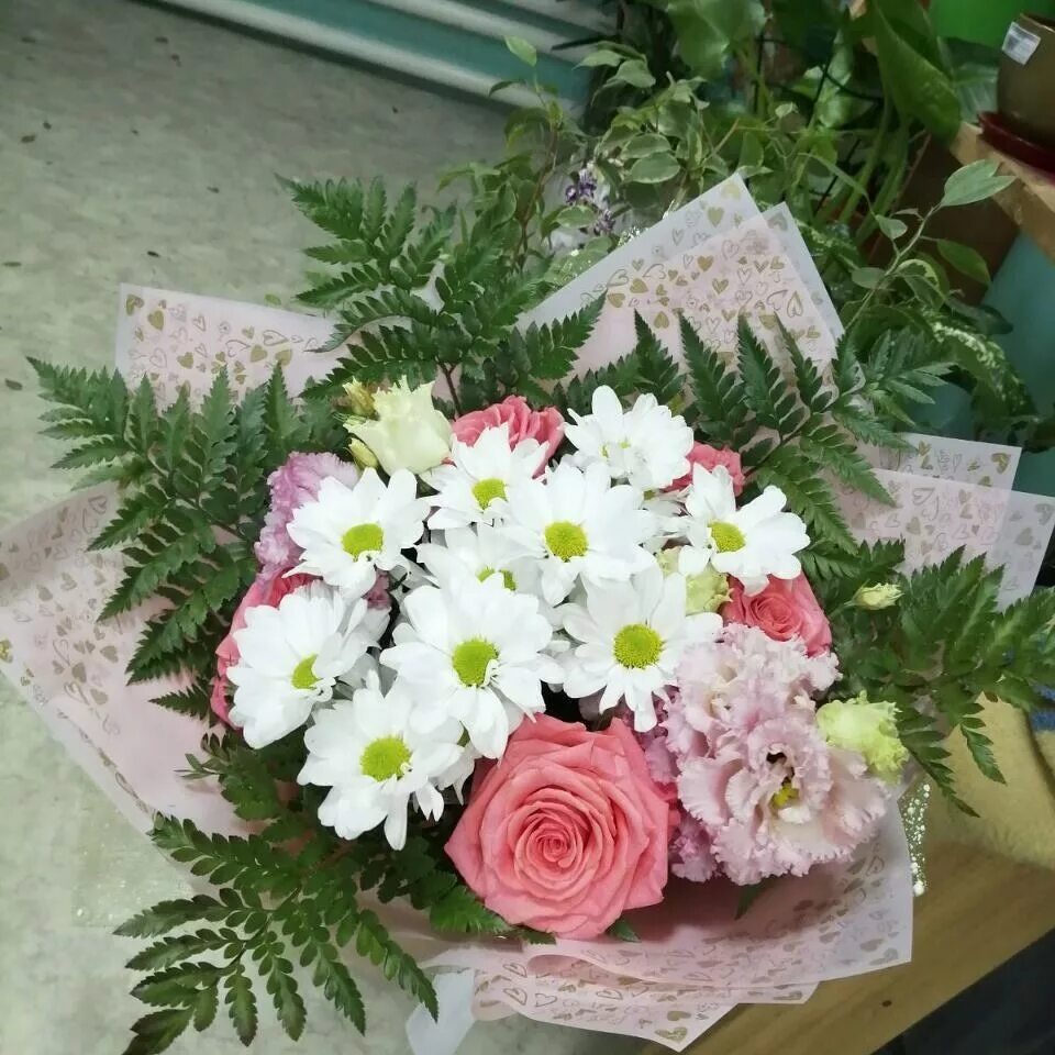 Природа забайкальского края багульник. Цветочные магазине в забайкальске. Борзя улицы. Цветы борзя. Даурия забайкальский край.