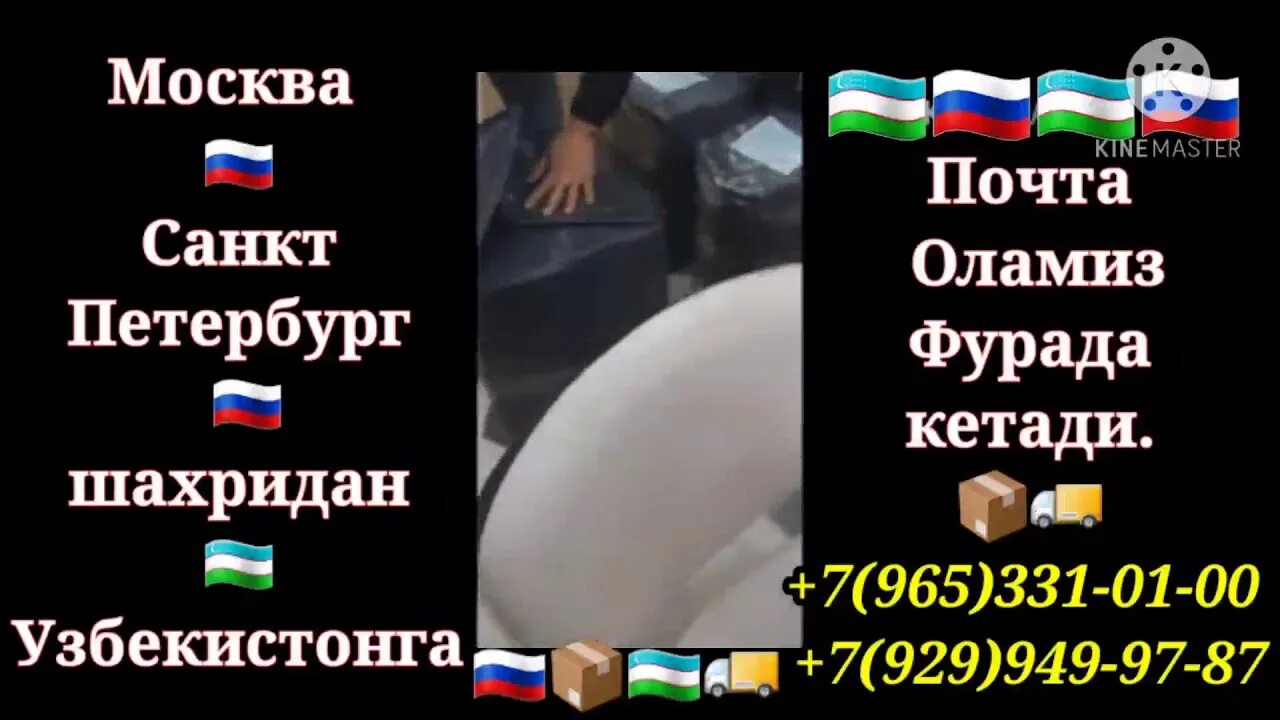 Почта Узбекистан Москва. Почта Ташкент Москва. Россия почту Узбекистан. Карго Узбекистан Москва.