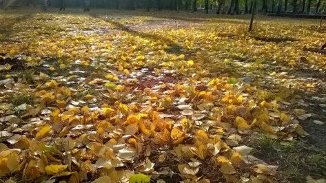 Днем в сухую погоду