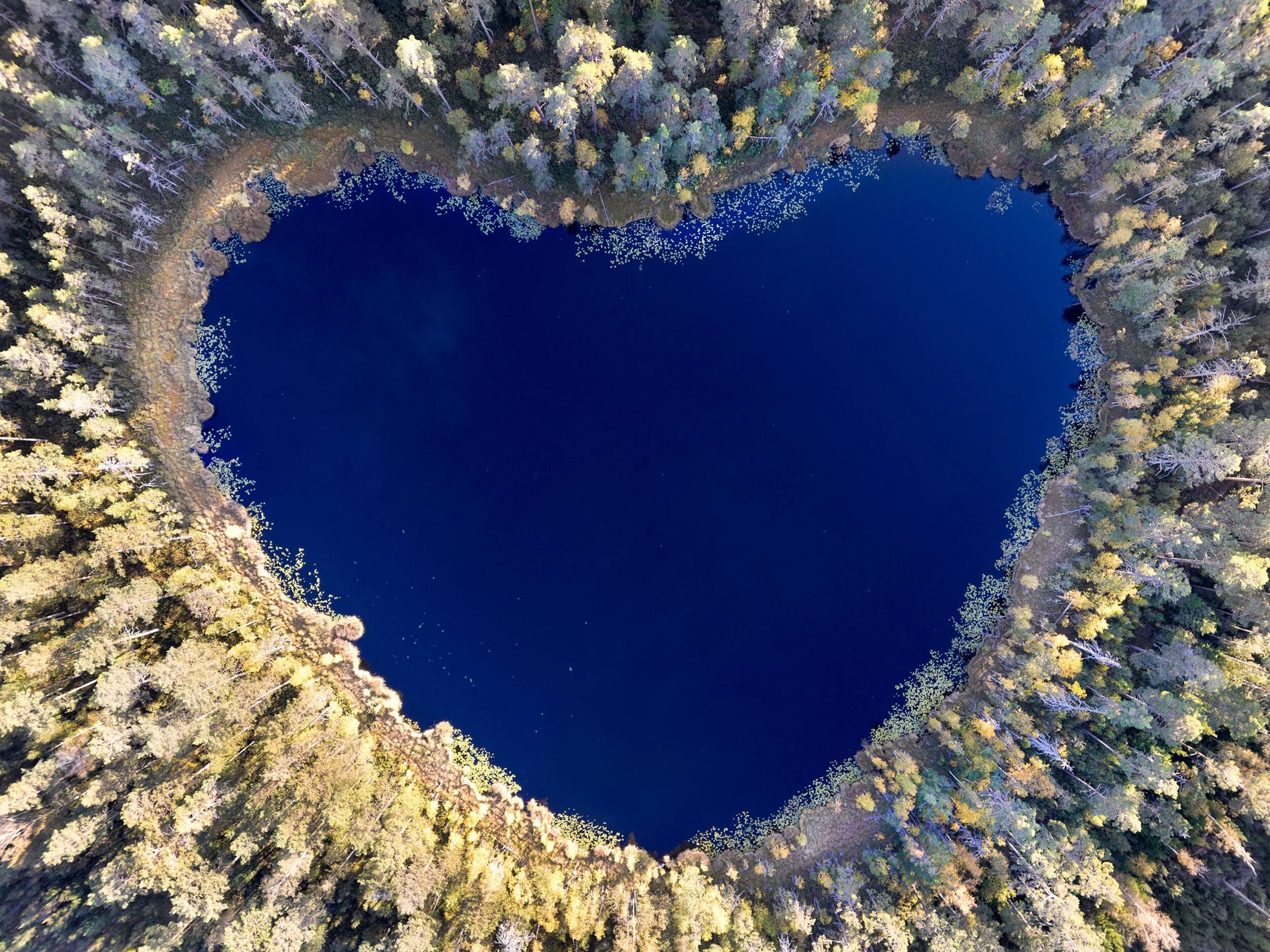 Лорейн Каунти озеро сердце. Озеро сердце Крым Кадыковский карьер Лорейн Каунти озеро сердце. Килларни Глен, Австралия. Озеро Харт Шейпд.