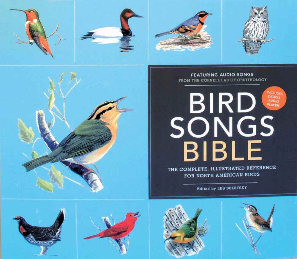 Bird Song Song. Орнитология голуби книга. Cornell Lab of Ornithology. Бирд песня. Birds депозит