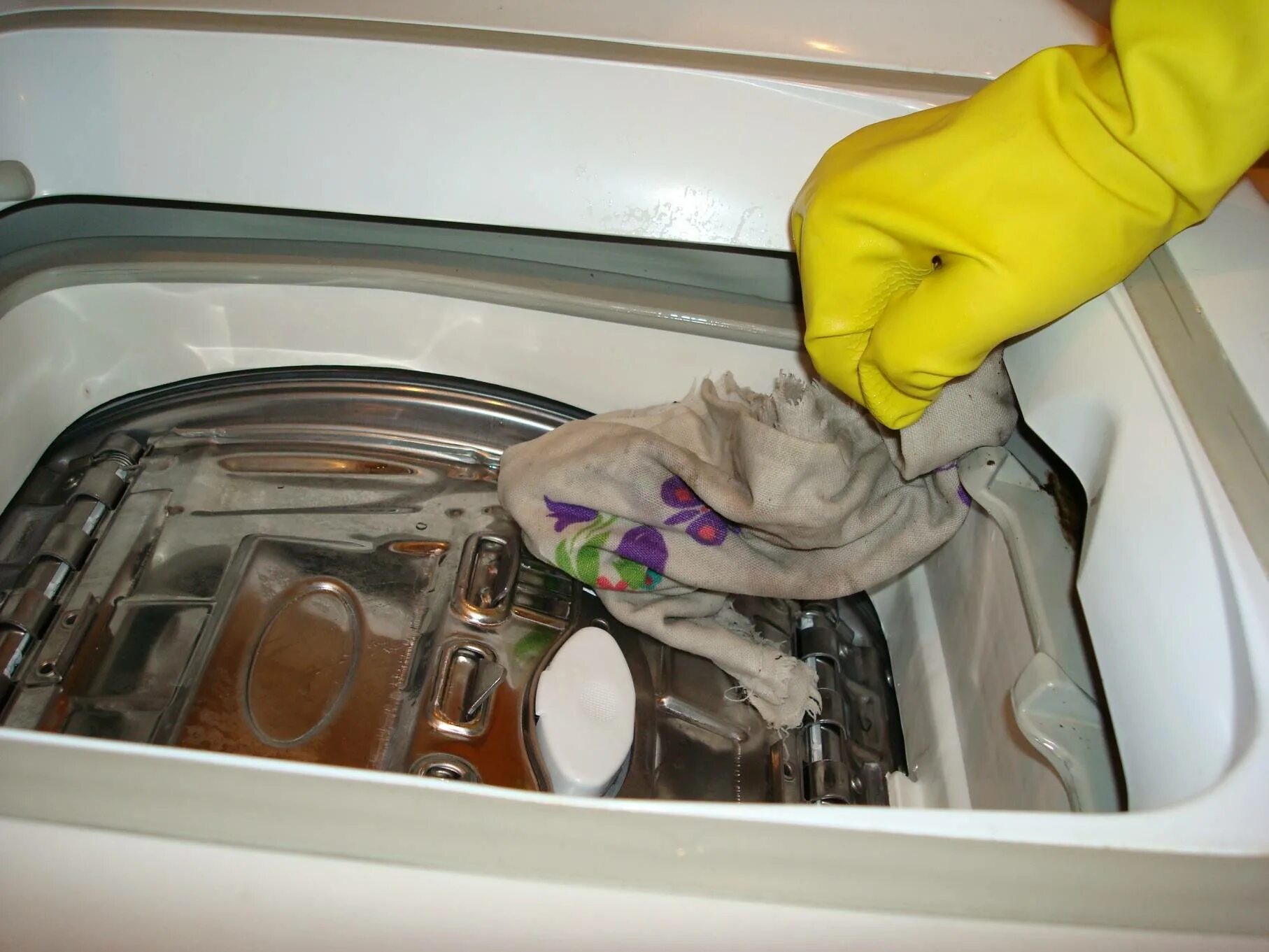 В стиральной машинке вода что делать