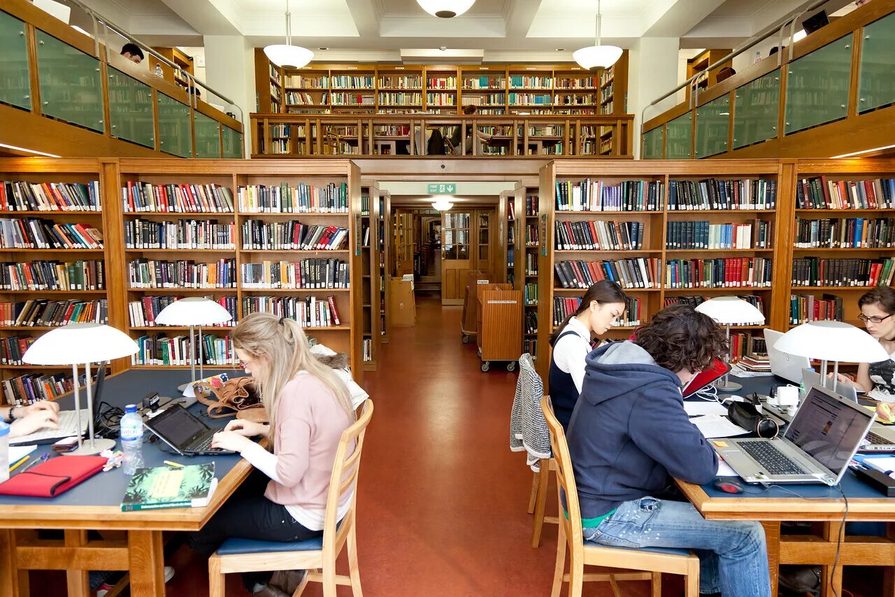 Library caught